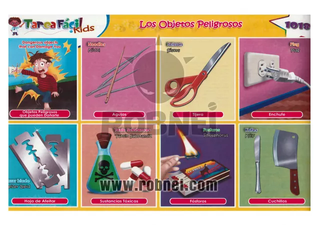 Los Objetos Peligrosos